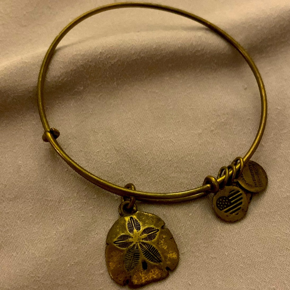 Alex and Ani Sand Dollar Charm- Bronze/gold color